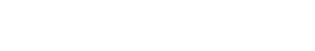 Vienna Capital Partners